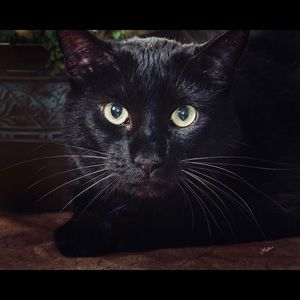 Meet your Posher, Kayleigh